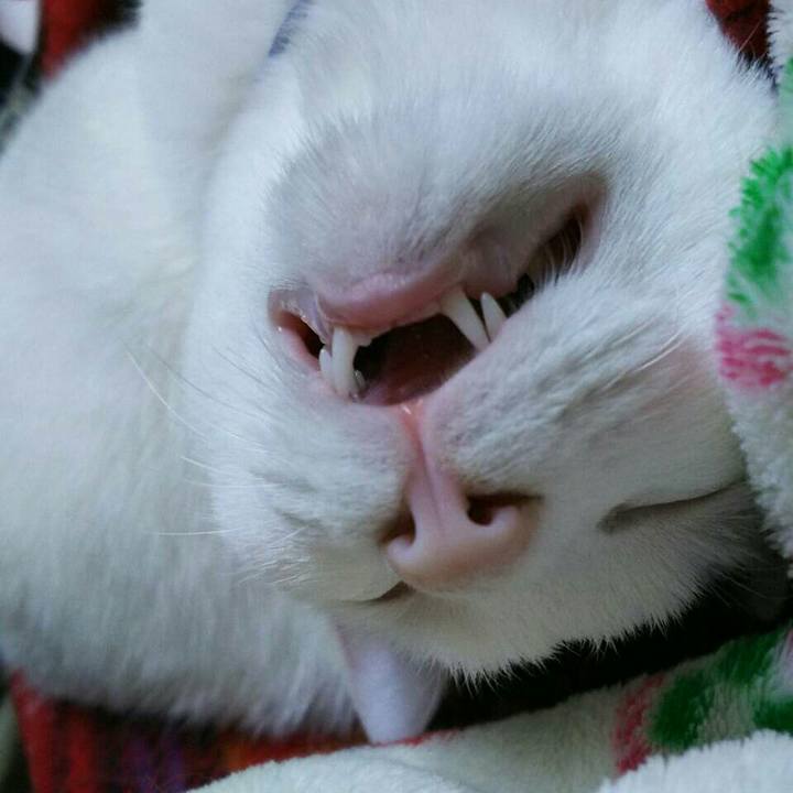 05243c95 c40f 407a 93db c5aa06771123