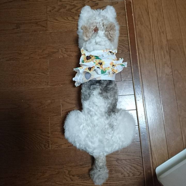 05245f50 cd0c 4ffb 9792 8508bfcb1206