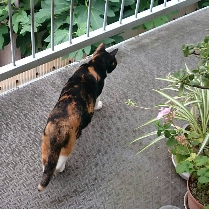 05248ef4 8f34 4565 8199 506752f00080