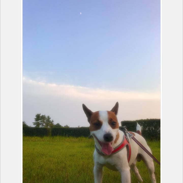 0524e0a4 5ea5 4829 aea9 53acd1a3b120