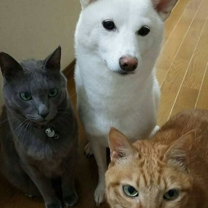 0525e337 518a 49df a5a7 239ccabeb81e