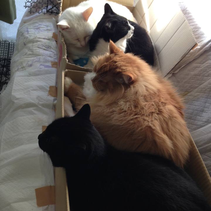 05265717 321e 4502 bd9a 8f4f30c590c2