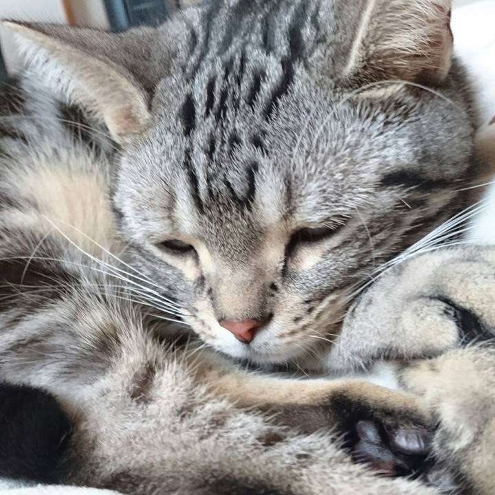 05266878 e92b 48ed b03c 4d8aaaa5273f