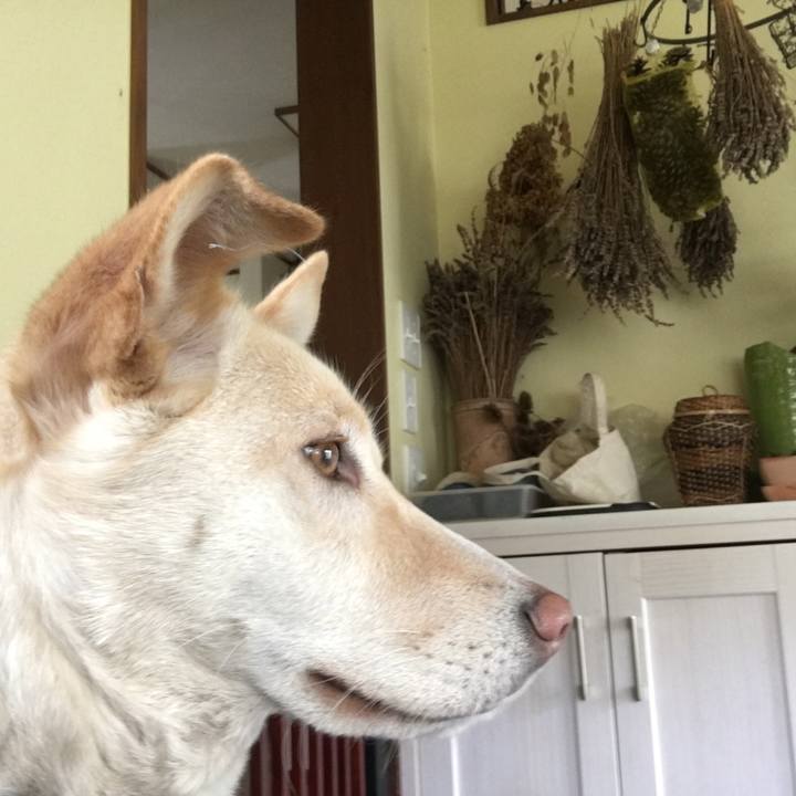 05276ff0 2791 431e a875 634cb137cd20