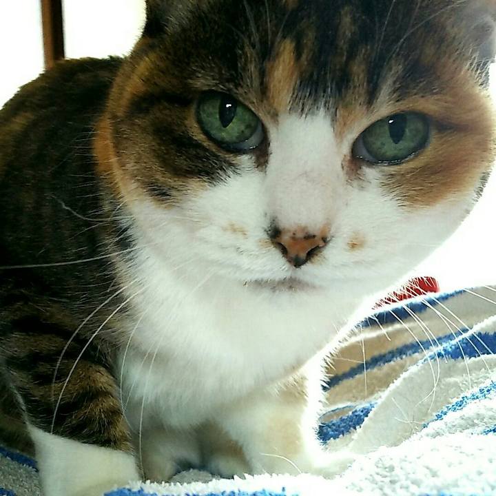 052791c2 0f71 44dd 8050 885fa4cb6907