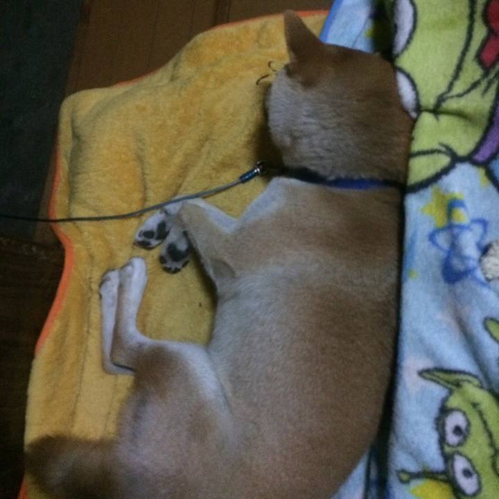 0527a3f9 89d4 4916 a2a1 559aefeb3cc4