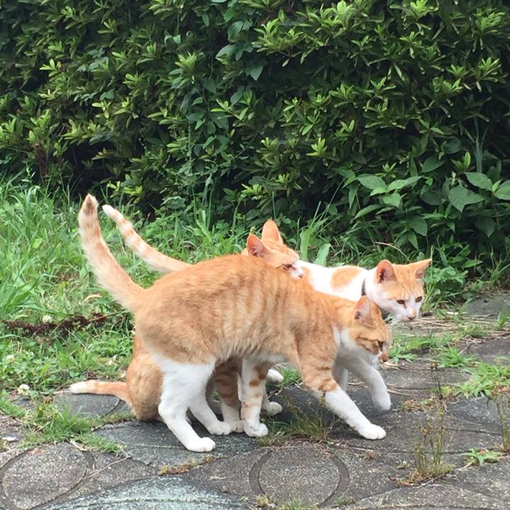 0527f96e f7fd 4ade 954c e8762b8ac11f