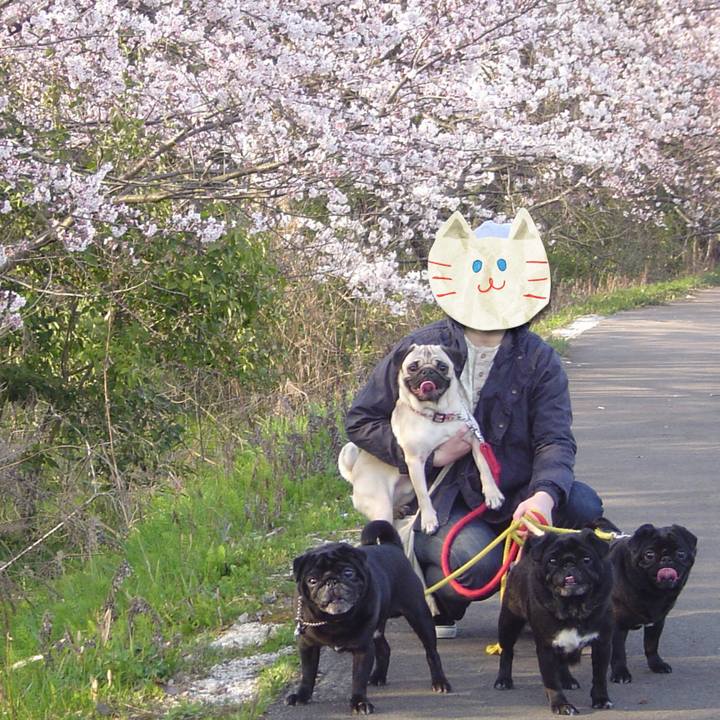 05290e3e 049f 40e6 b572 0ee9875fbf4e