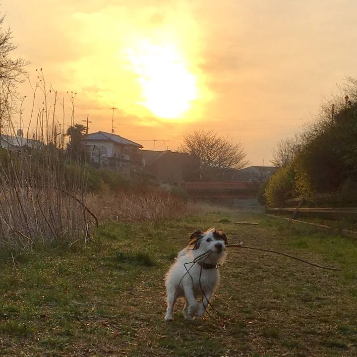 052a2f35 9dd7 48b4 8ede a31b5c783fd3