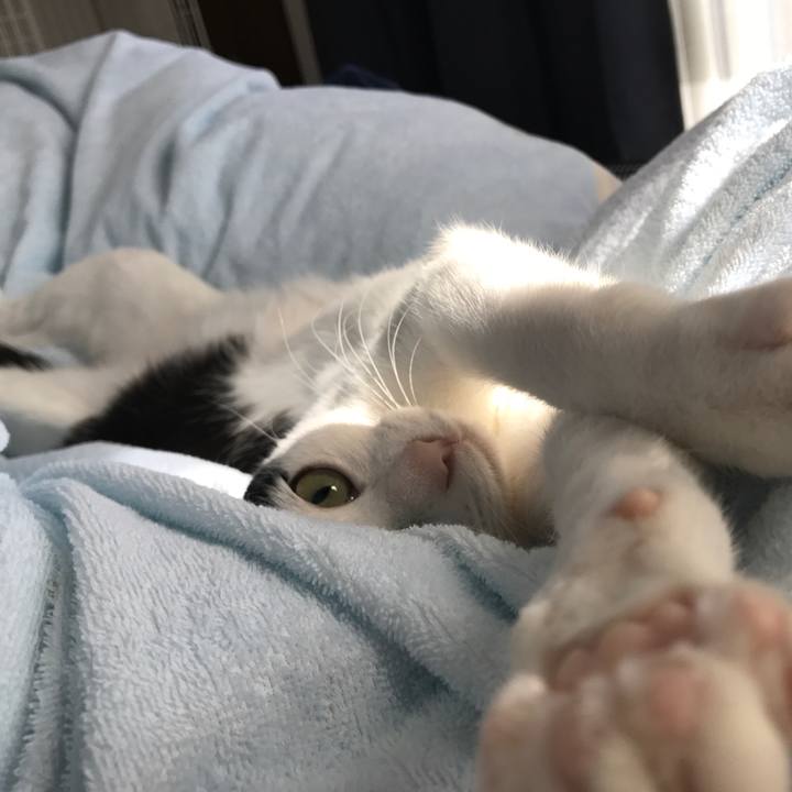 052a7604 d63f 4cf6 80e0 8b263d0b52d5