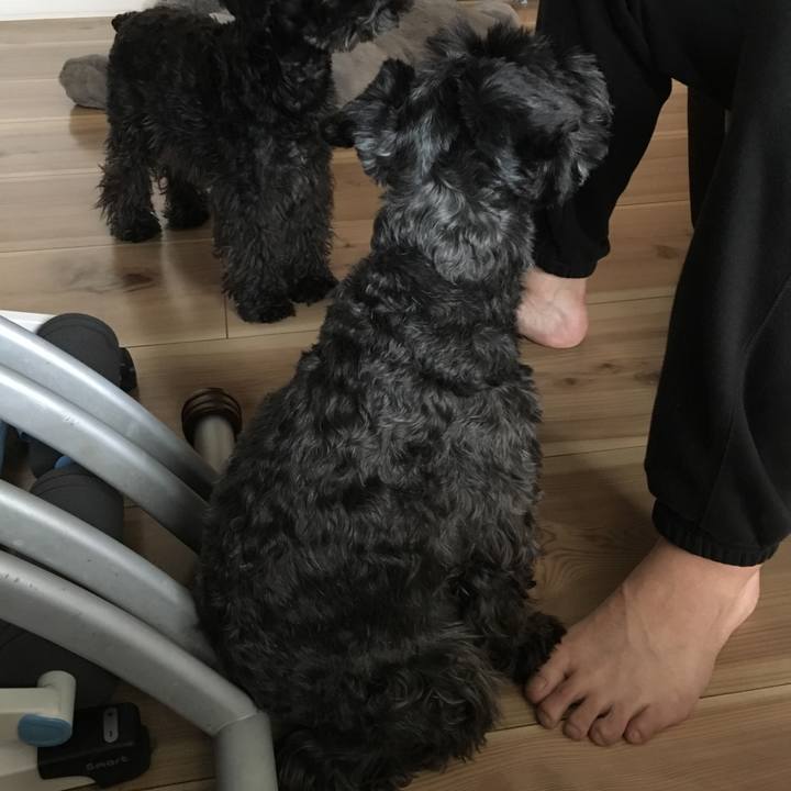 052b26b5 1bb5 4967 a3c9 5d238fbcf936