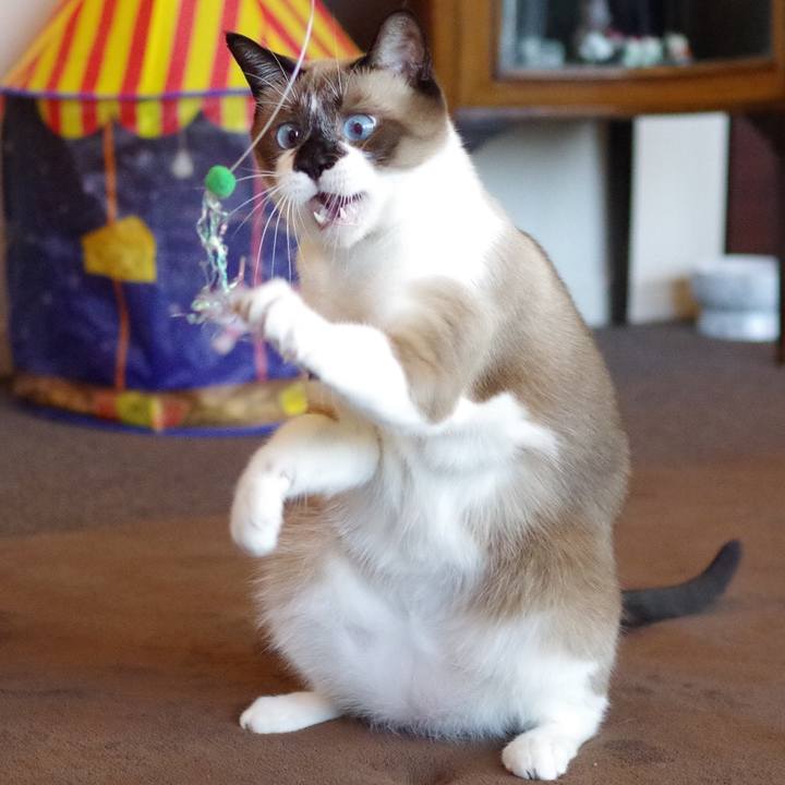 052c31c3 5ebc 4fd0 9985 e881c9329a68