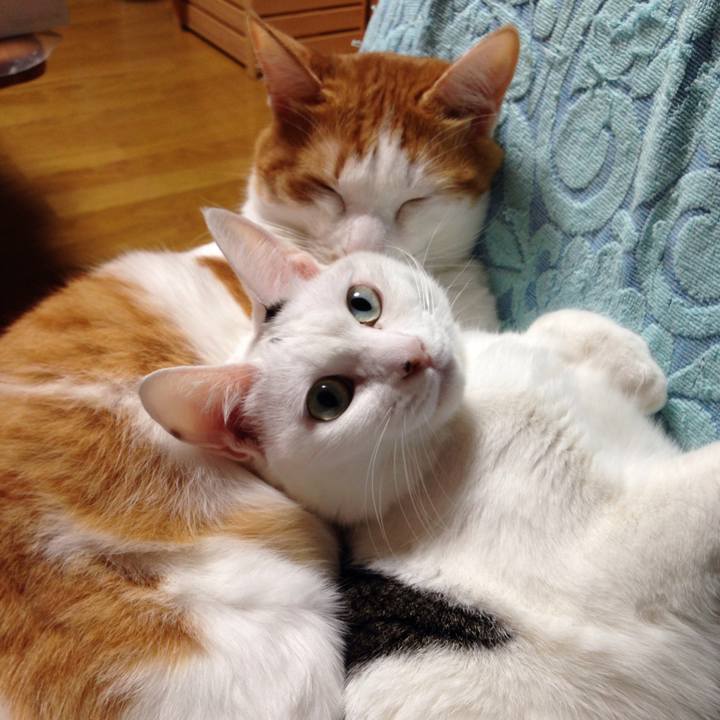 052c8220 f930 41ad 924c e7ea7c5ca7ba