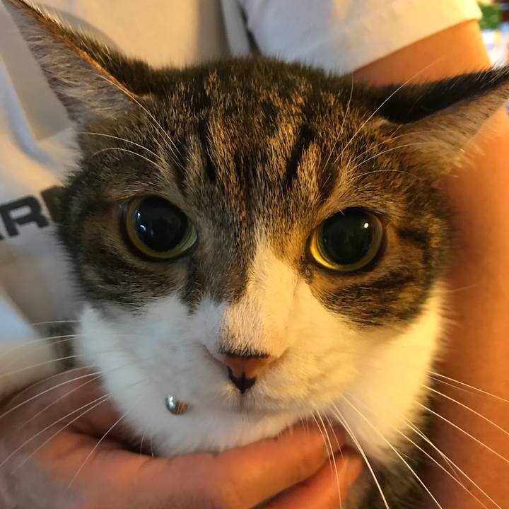 052cb3b7 76e8 4ebc a335 882ddd953148