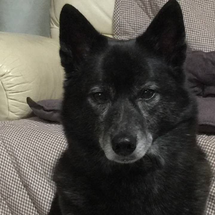 052d4517 58c2 412e a5db af66c029375a