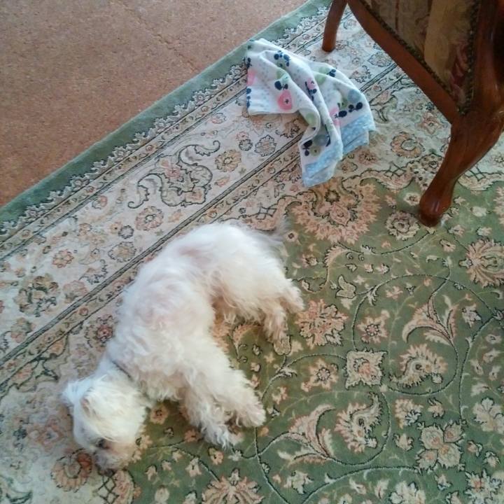 052d6ba9 03fa 444b 8baf 8dab33853200