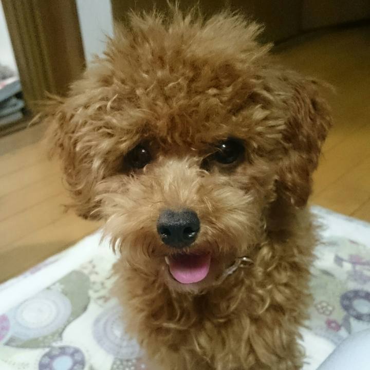 052d74f8 faf4 4fca bf7c 58d9dcab07d7