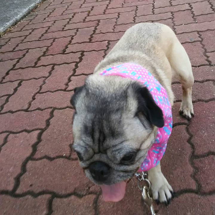 052e1f7d 6b82 40f0 9c1d 2e91148c89c1