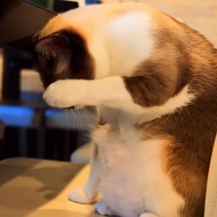 052f19b9 7205 4a09 b216 8b832f539627