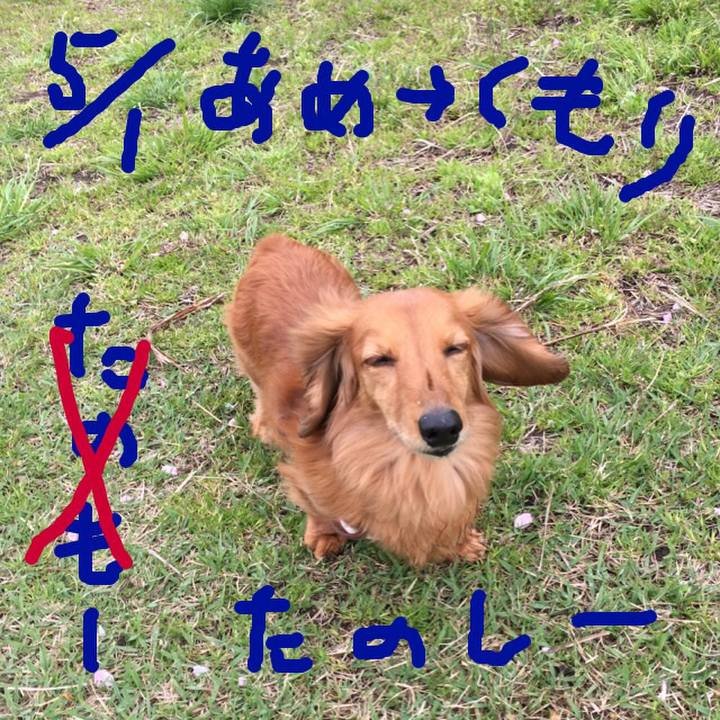 052f6d34 9798 4624 9abe 1e8f901eebfd