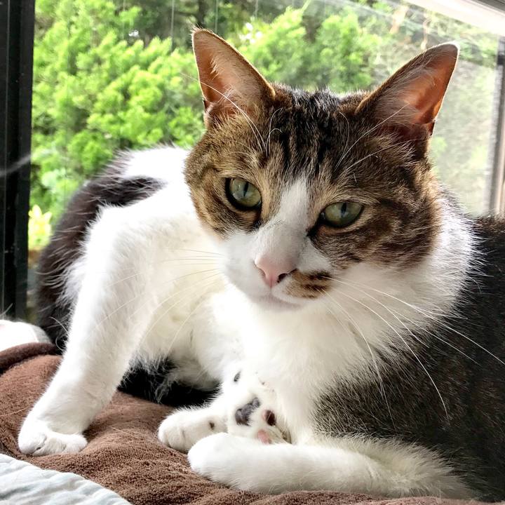 052fb2dc c50e 4c08 9c41 b94ed78370c9