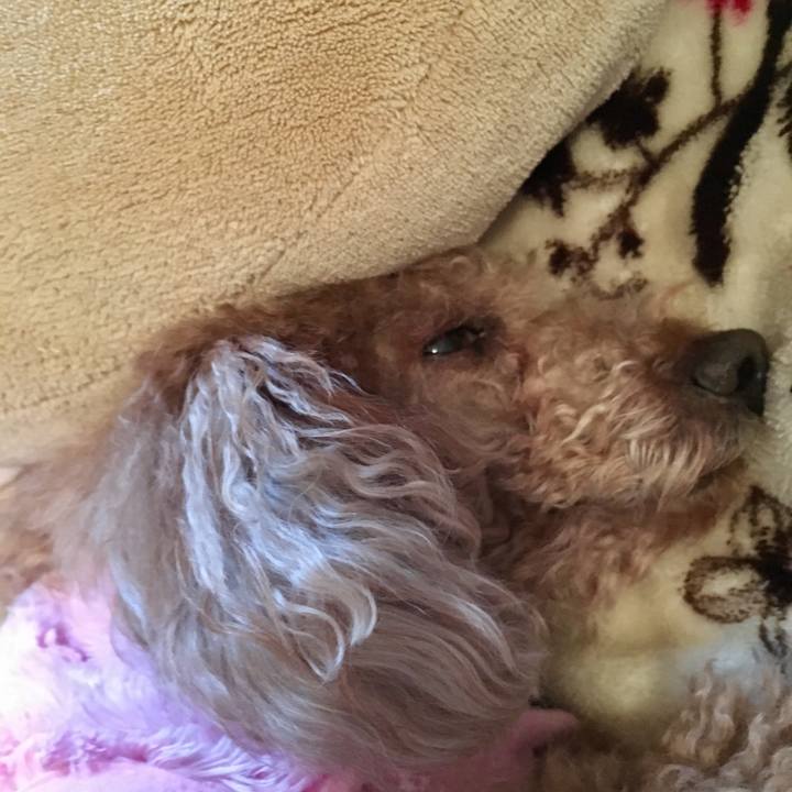 053000c9 ba7b 4b8c b044 f1b46ede42e0