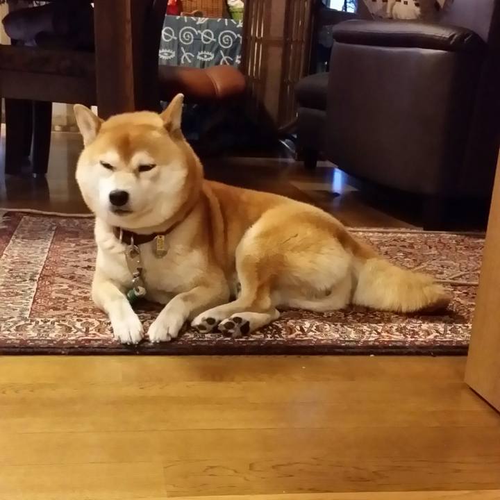 0530b57a 714b 4757 a710 01008e5ce744