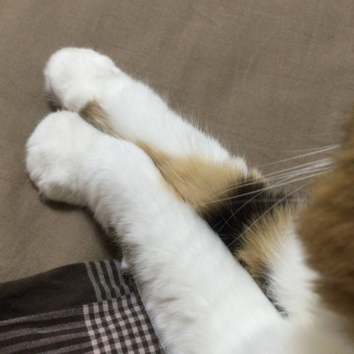 0531320b 3fc0 495c 8946 885808c2470b