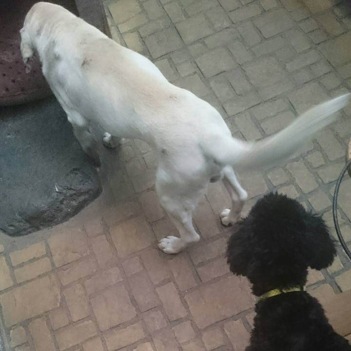 05320d9f 7831 4d59 8fff 8c005f71c2c7