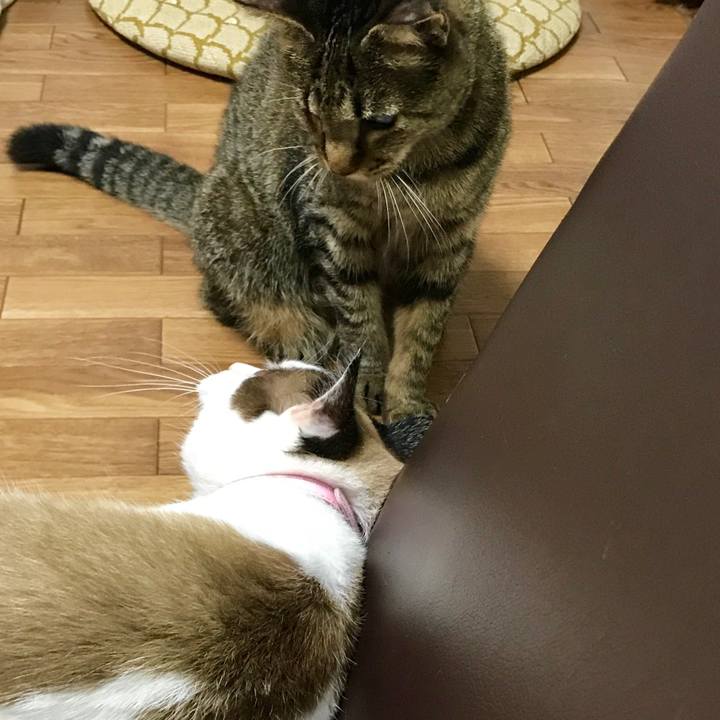 05324011 d2b4 47a1 9d94 7874d25cf067