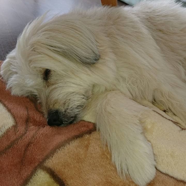 053255ad 3bc8 4035 8d21 77231910c864