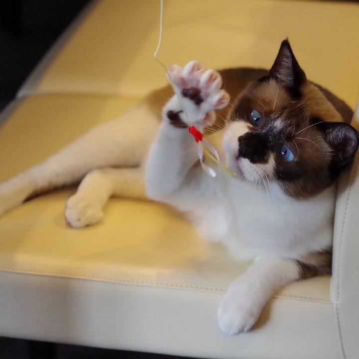 05327c09 8668 4943 9d98 b31713572ee9