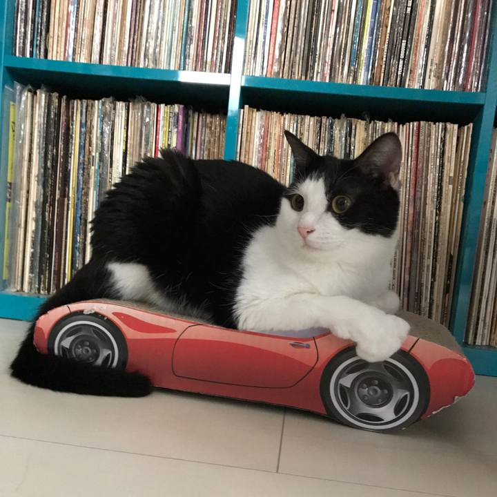 0532927c 55af 46b4 a27b 3348fba543d2