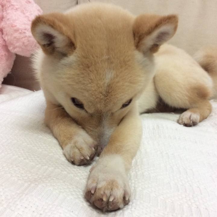 0532e3a5 b577 4f52 a62f c273bfa0e003