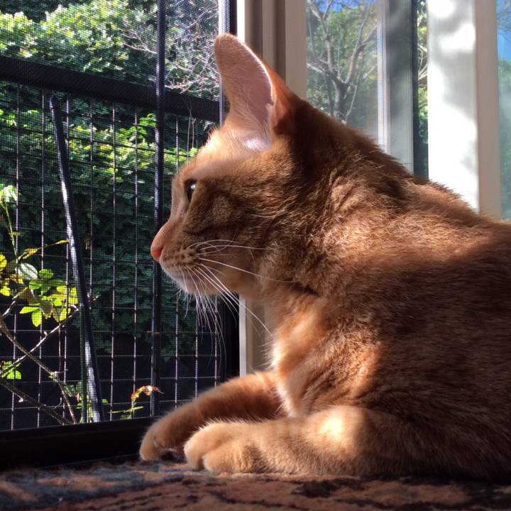 05336a2b 342b 4af9 8001 3a4ec93273af