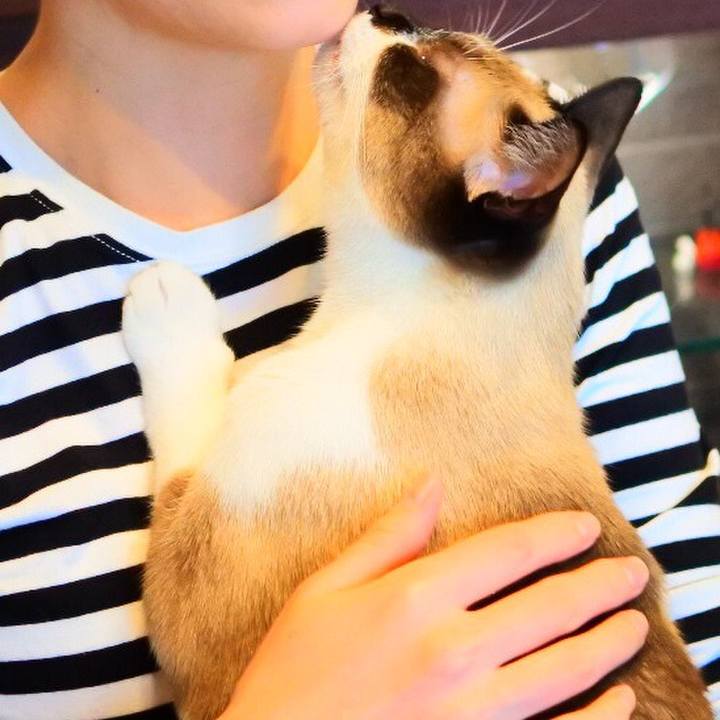 0533c530 ab59 428b b20b d25c5d47e7b0