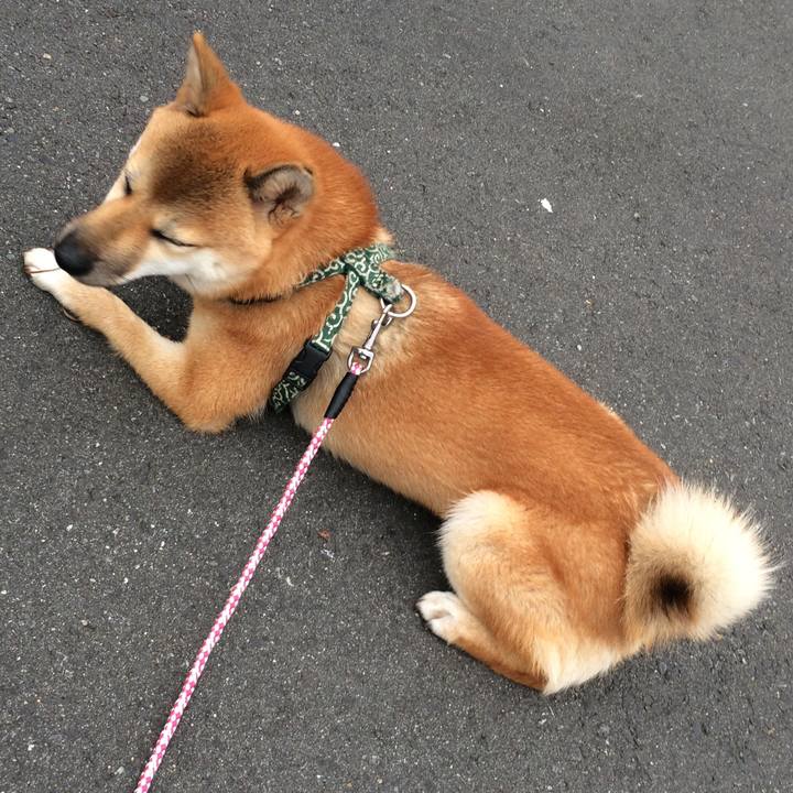 053424af 630b 4403 bf63 b8f1740c6789