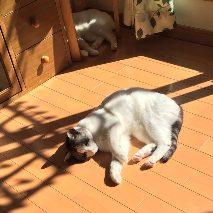 0534494f 0c88 41a7 a451 5ab7f9fd7dcf