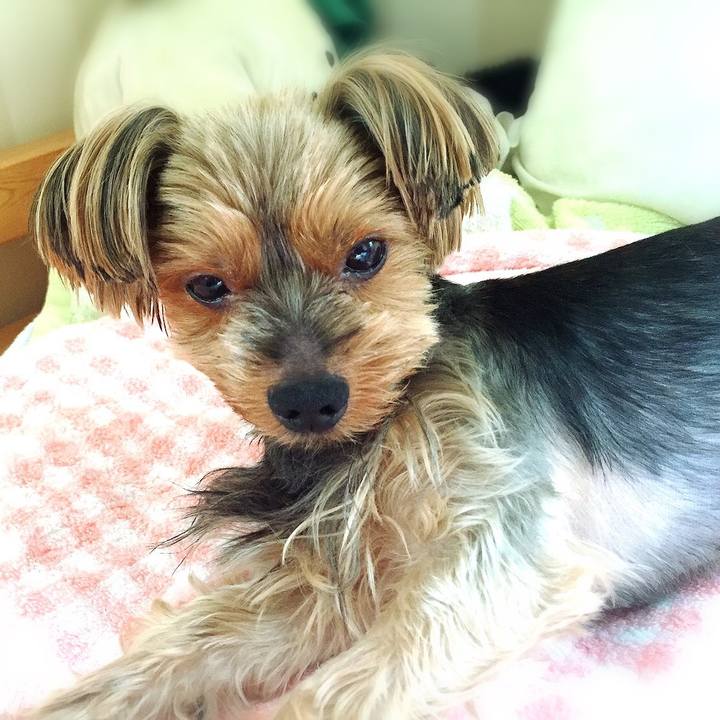 05356674 ad70 4914 8295 8c386a143904