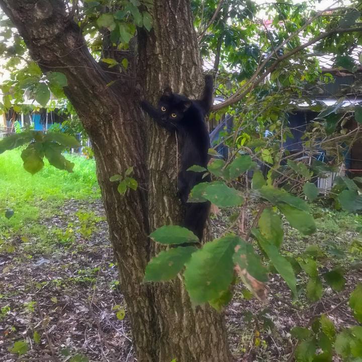 053573da 2a57 4f51 88a5 e5ad65e8fea2