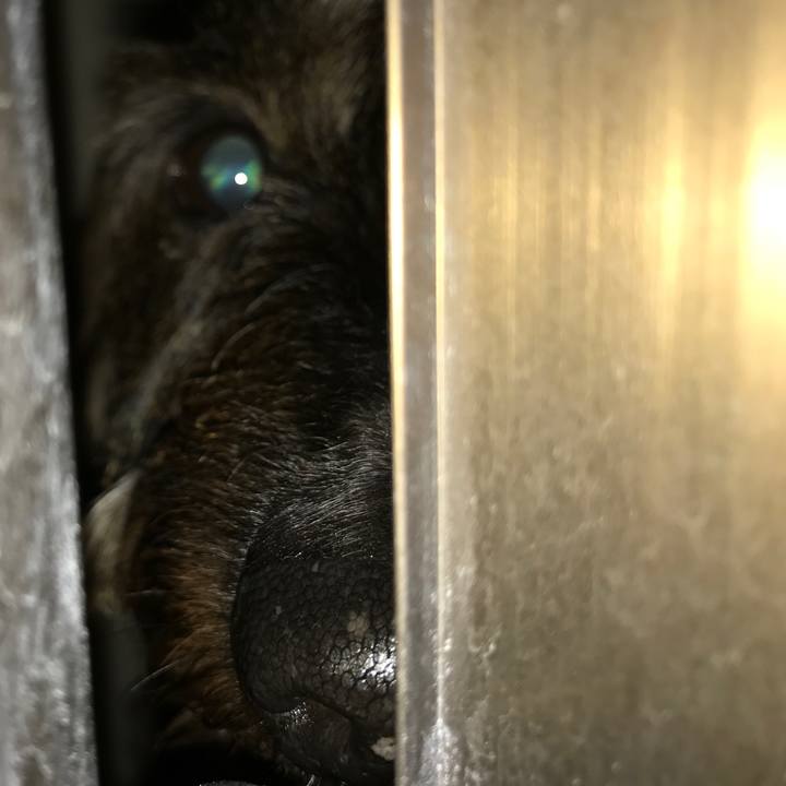 0535b941 024b 4ba1 8e84 2d941d0a4211