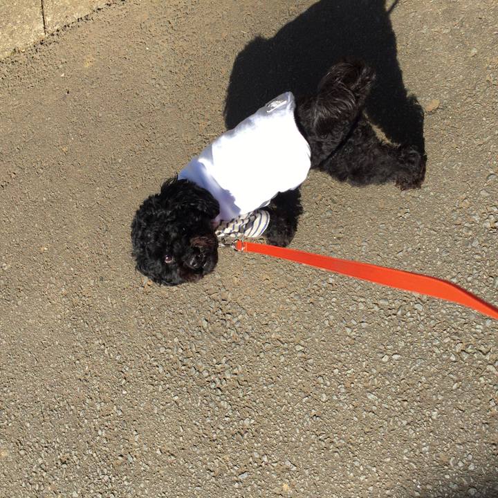 05360884 2199 498b 95ef 92b2dca03814