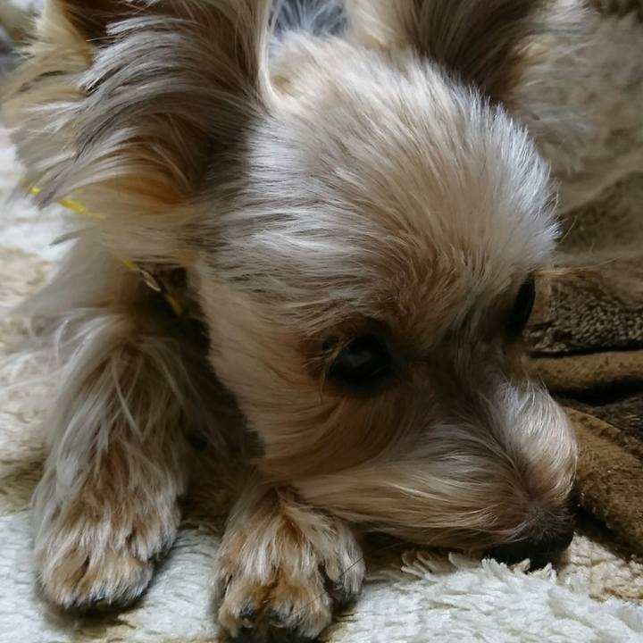 05362fb6 18a0 4d23 846a 8994b74cd773