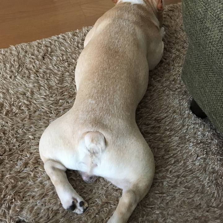 053643fc c306 455d 85af d73fab15d8cf