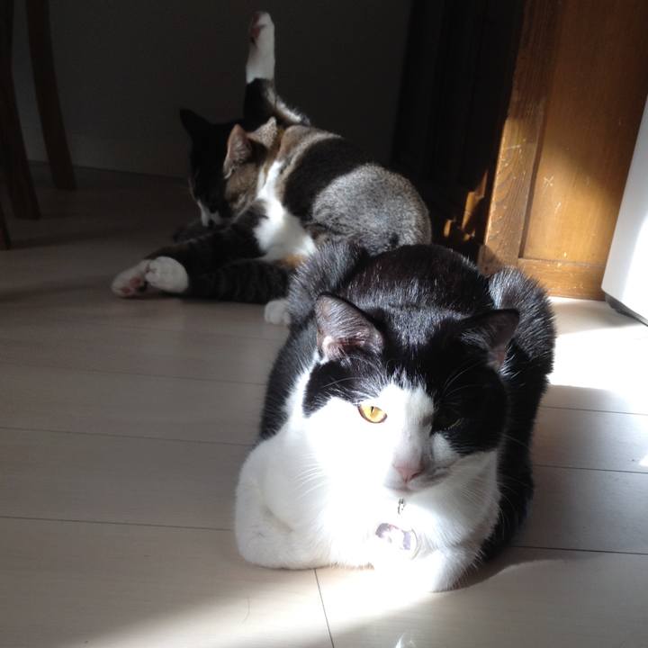 05370b7b 62f3 42a8 8119 907eb8f9793c