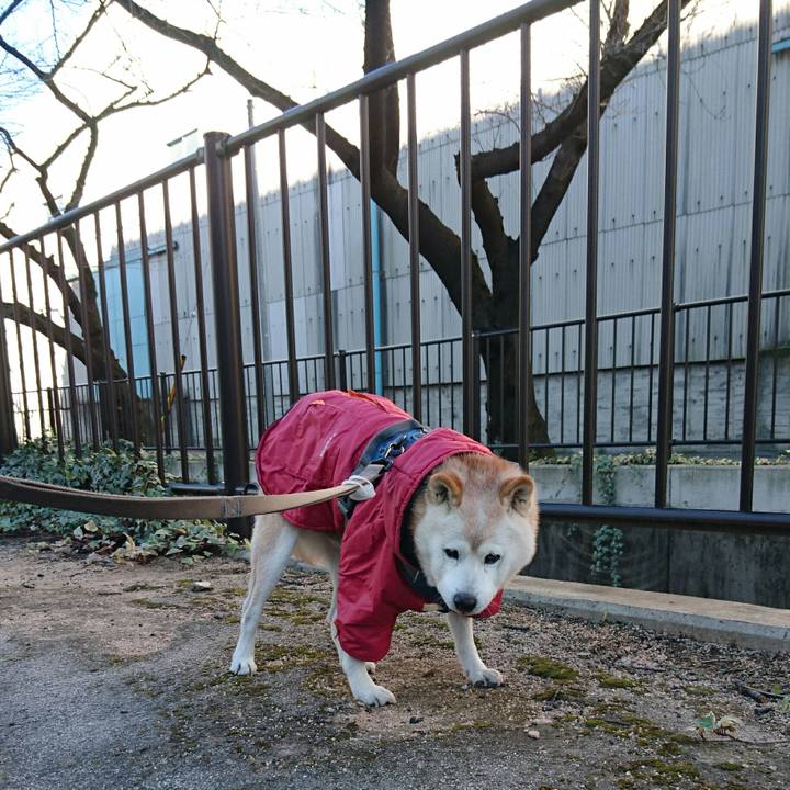 053758c2 10eb 4ced be8b d5d34b575b7f