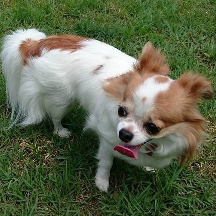 0537b95a 42ff 449a a631 a3e21c64dd7e