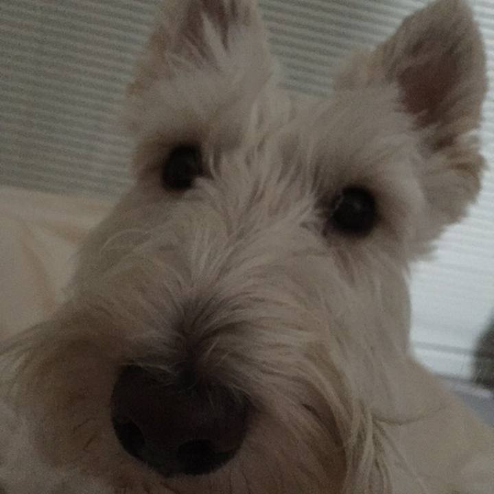 0537b963 0eb2 4c60 985c 4cd546177f66