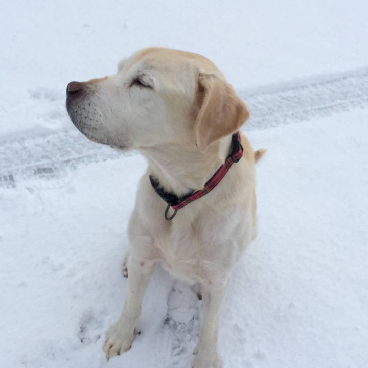 0537be2b f6dd 4faa 9249 62f486b40b8c