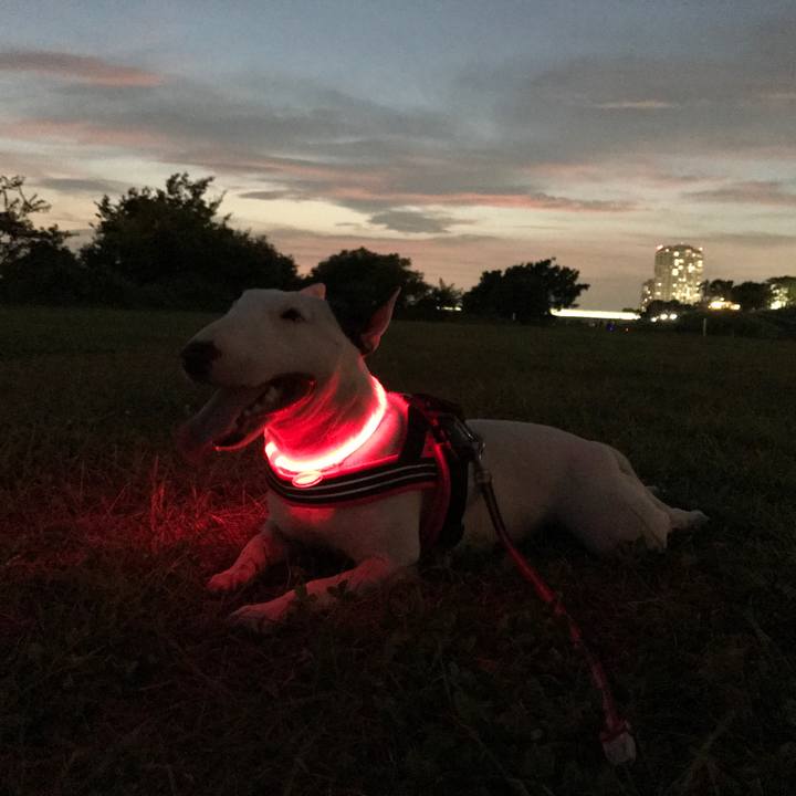 0537c492 2d04 4b25 99be b230a4d320ce